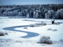 Из Пскова в Пушкинские горы: Михайловское и Тригорское