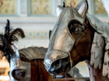 На страже Эрмитажа: экскурсия по Рыцарскому залу