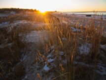 Архангельск, Северодвинск и Белое море за 1 день