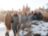 Фотоэкскурсия по новогодней Москве!
