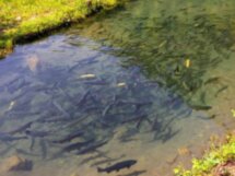Край диких водопадов, пещера Прометея и гора Хвамли