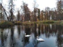 Клин: Менделеев, Блок, Чайковский
