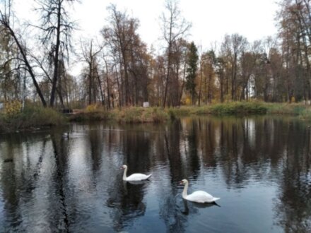 Клин: Менделеев, Блок, Чайковский