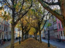 С Амстердамом на «ты»
