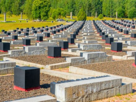 Березинский заповедник и Хатынь за 1 день