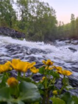 Водопады Кольского полуострова: из Мурманска в мини-группе