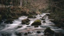 Лучшие места Абхазии: Гагра, Пицунда, Новый Афон, водопады и пещеры