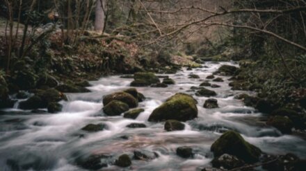 Лучшие места Абхазии: Гагра, Пицунда, Новый Афон, водопады и пещеры