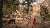 Лучшие места Абхазии: Гагра, Пицунда, Новый Афон, водопады и пещеры