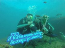 Подводное погружение и кормление рыбок в Геленджике