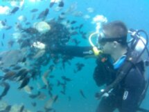 Подводное погружение и кормление рыбок в Геленджике
