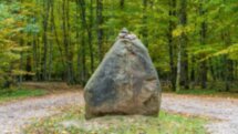 Брестская крепость и Беловежская пуща в формате «всё включено»