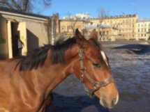Академия художеств — тогда и сегодня