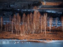 Треккинг по Изборско-Мальской долине
