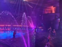 Поездка на красочное шоу La Perle