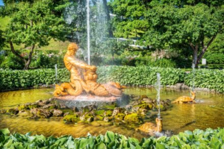 Петергоф от А до Я: метеор, Нижний парк и экскурсия в Большой дворец (билеты включены)