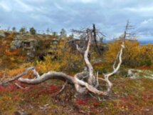 Белое море, Колвицкие водопады и древнее место силы