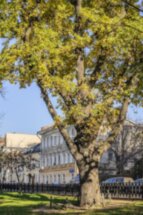 Бульвар поэзии и истории