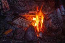 Сплав-перезагрузка на каяках в парке «Монрепо»