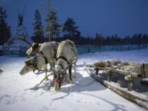 Деревня саамов, или Север изнутри