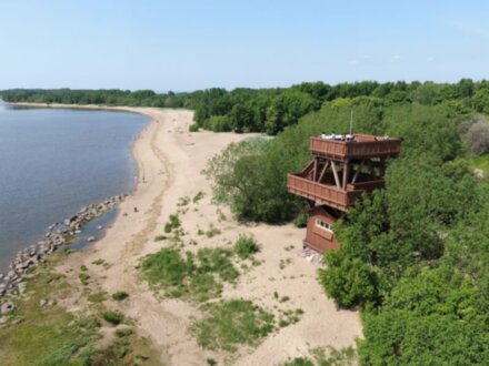 Из Петербурга в Кронштадт: поездка с краеведом