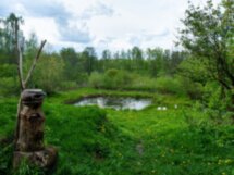 В гости к русскому Хагриду!