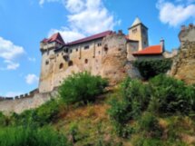 Сокровища Венского леса