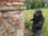По Аракчеевской дороге: неизвестная новгородская история