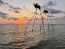 Весь Фукуок за один день