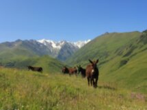Древняя и загадочная Северная Осетия