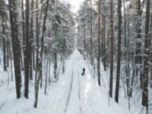 Снежный серфинг на мотосноуборде