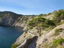 Райский день в Крыму
