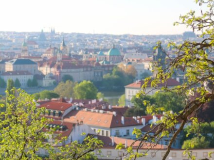 10 пражских must have за один день