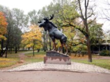 В гости к старушке Европе: Выборг и Монрепо