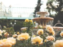 Парк Горького — фабрика счастливых людей