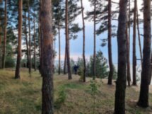 Усадьбы «Михайловское» и «Петровское» и Талабские острова