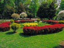 Краснодар — город на «золотой параллели»