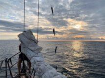 Морская рыбалка в Сочи круглый год