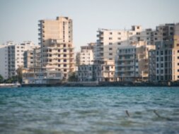 В гости к осликам Кипра: семейное путешествие