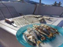 В мини-группе — на морскую рыбалку с пикником на борту