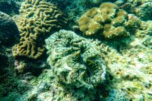 Чудеса Андаманского моря: на катере к островам Пхи-Пхи и Бамбу