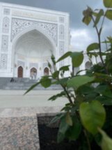 Из Махачкалы — в Грозный, Аргун и Шали!