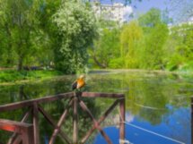 Аптекарский огород — старейший ботанический сад России