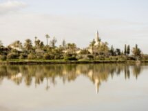 Верблюды, мечеть и соляная пустыня: семейное путешествие по Кипру
