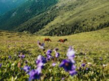 По горам Манжерока — на электровелосипедах