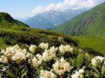 Завораживающий Бзерпинский карниз