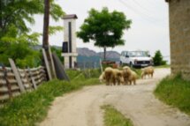 Древний аул Урахи: с экскурсией от местного жителя и мастер-классом