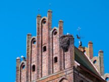 На поиски средневековых прусских городов