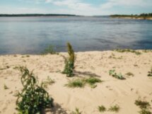 Крепость Орлец: забытый страж Северной Двины