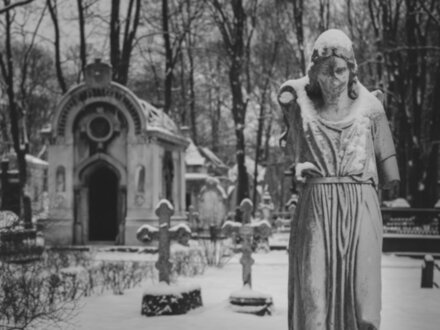 Экскурсия по живописному Новодевичьему монастырю